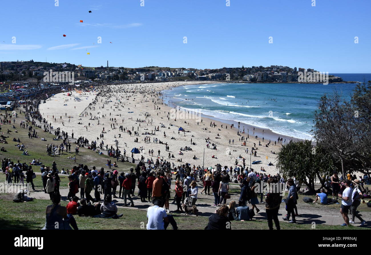 Kite flyers and tourists attend the annual free outdoor kite flying
