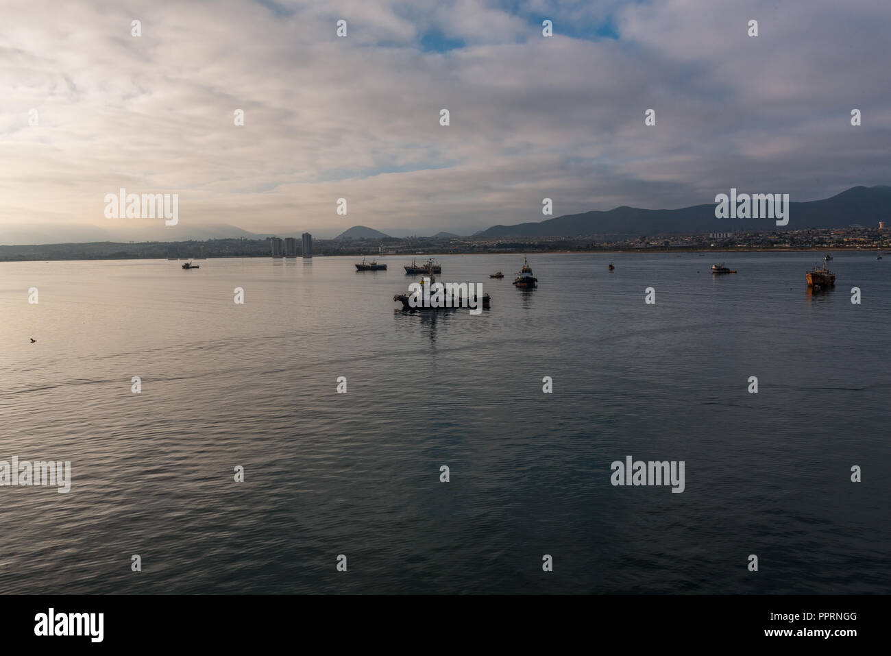 Morning is breaking over boats anchored in the calm waters off Coquimbo, Chile Stock Photo