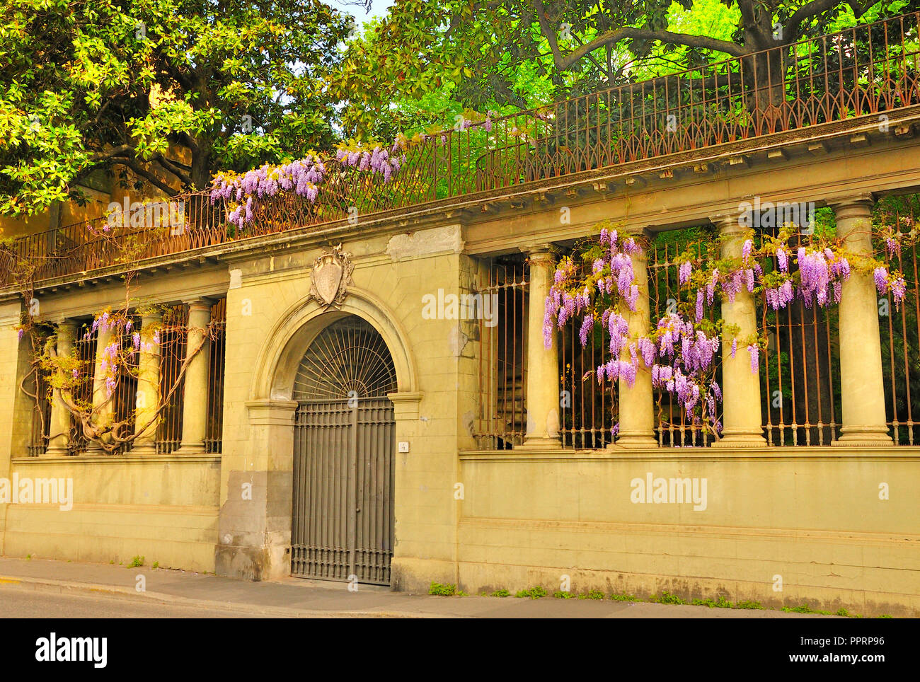 The Botterman Empire Sunday In The Balcony Garden