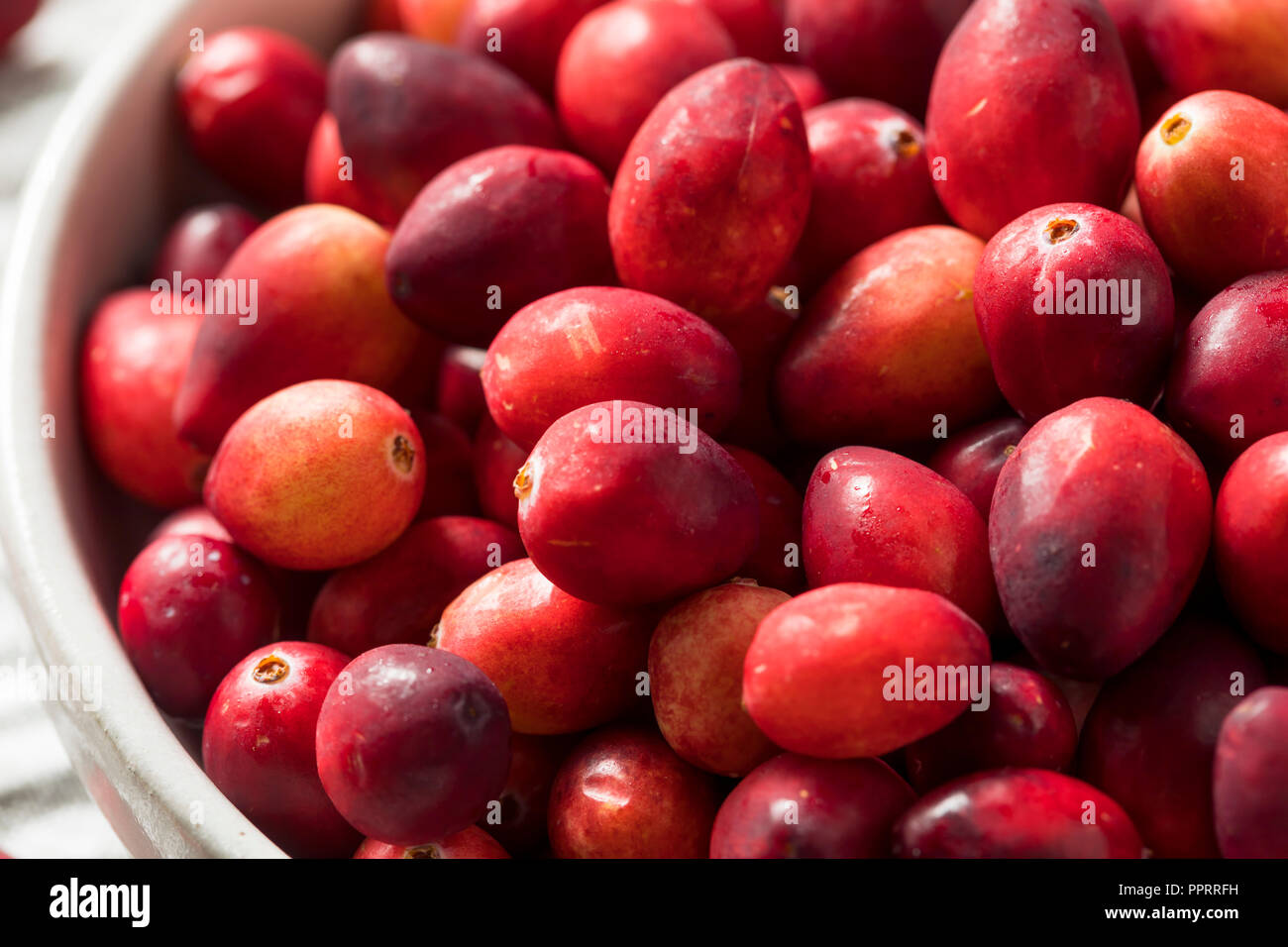 Raw Red Organic Cranberries Ready to Cook With Stock Photo Alamy
