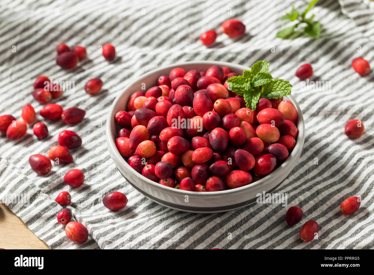 Raw Red Organic Cranberries Ready to Cook With Stock Photo Alamy