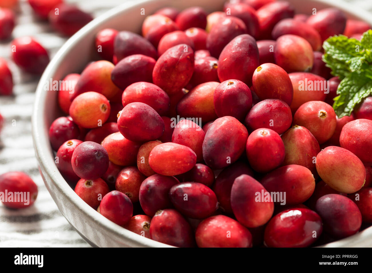 Raw Red Organic Cranberries Ready to Cook With Stock Photo Alamy