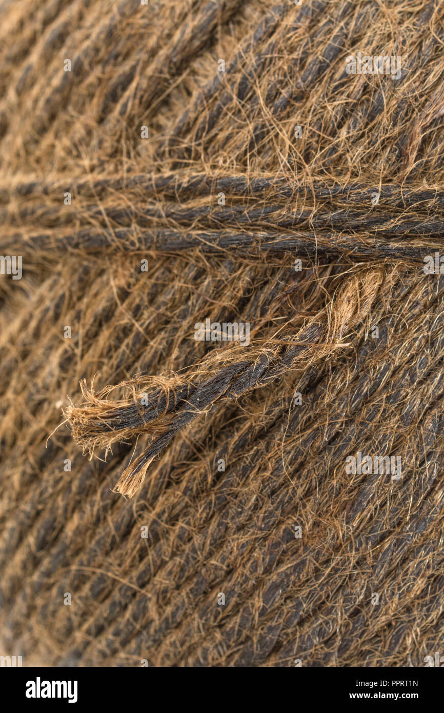 Individual fibers hi-res stock photography and images - Alamy
