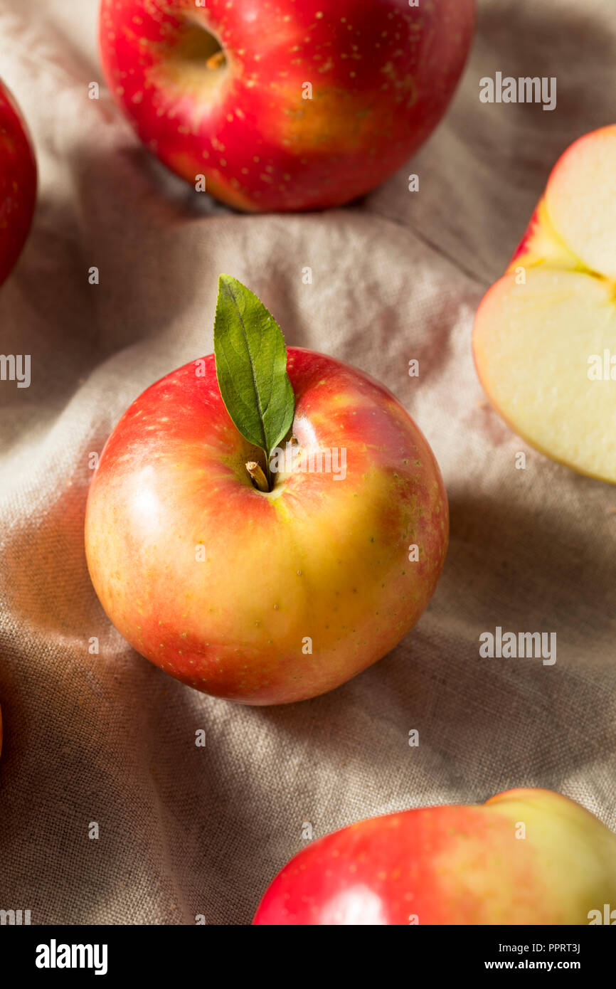 https://c8.alamy.com/comp/PPRT3J/raw-organic-red-apples-ready-to-eat-PPRT3J.jpg