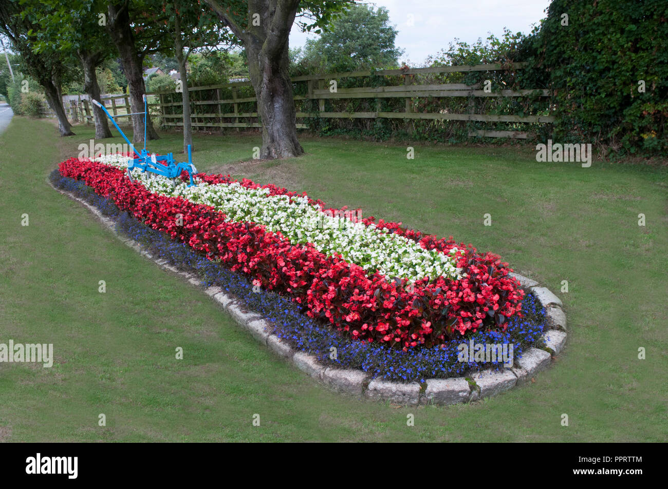 Roadside Flowerbed of Begonia semperflorens and blue lobelia with an agricultural implement as a center piece. Elswick village Lancashire England UK Stock Photo