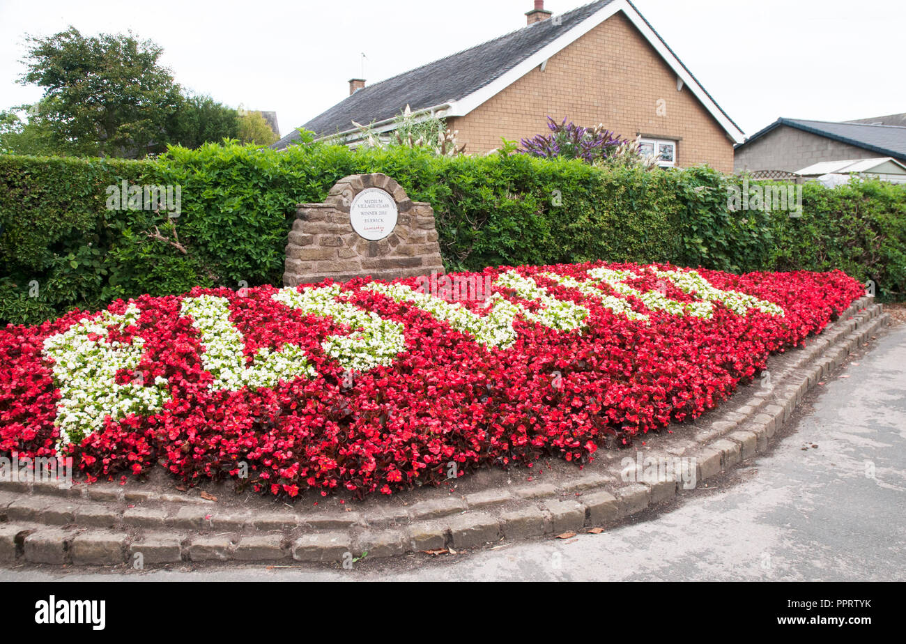 Red and White Begonia semperflorens in flower bed spelling out the name of village Elswick. Winner of Lancashire Best kept village.medium class 2010. Stock Photo