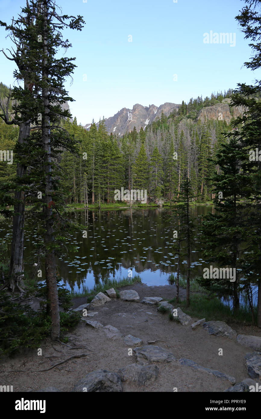 A view of Nymph Lake through the spruce on the trail to Emerald Lake in Rocky Mountain National Park, Colorado. Stock Photo