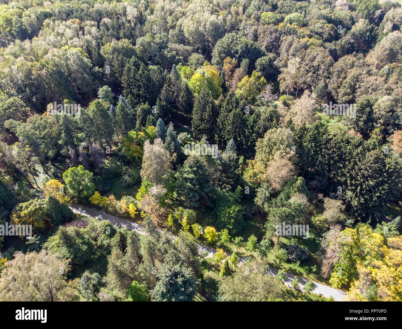 Aerial view of woodland paths hi-res stock photography and images - Alamy