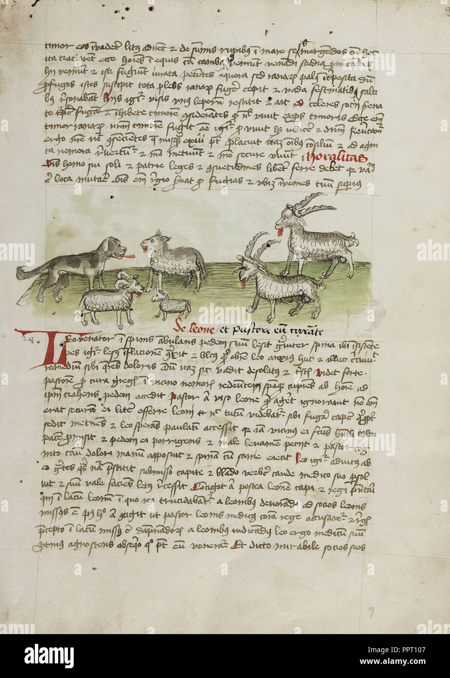 A Dog, Sheep, and Rams; Trier, probably, Germany; third quarter of 15th century; Pen and black ink and colored washes on paper Stock Photo