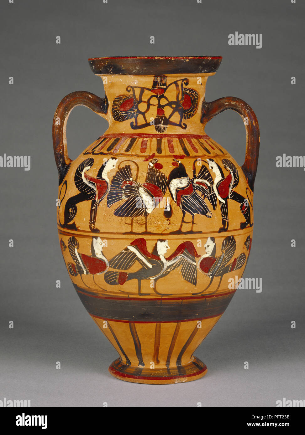 Attic BlackFigure Amphora, Tyrrhenian , Attributed to Pointed Nose