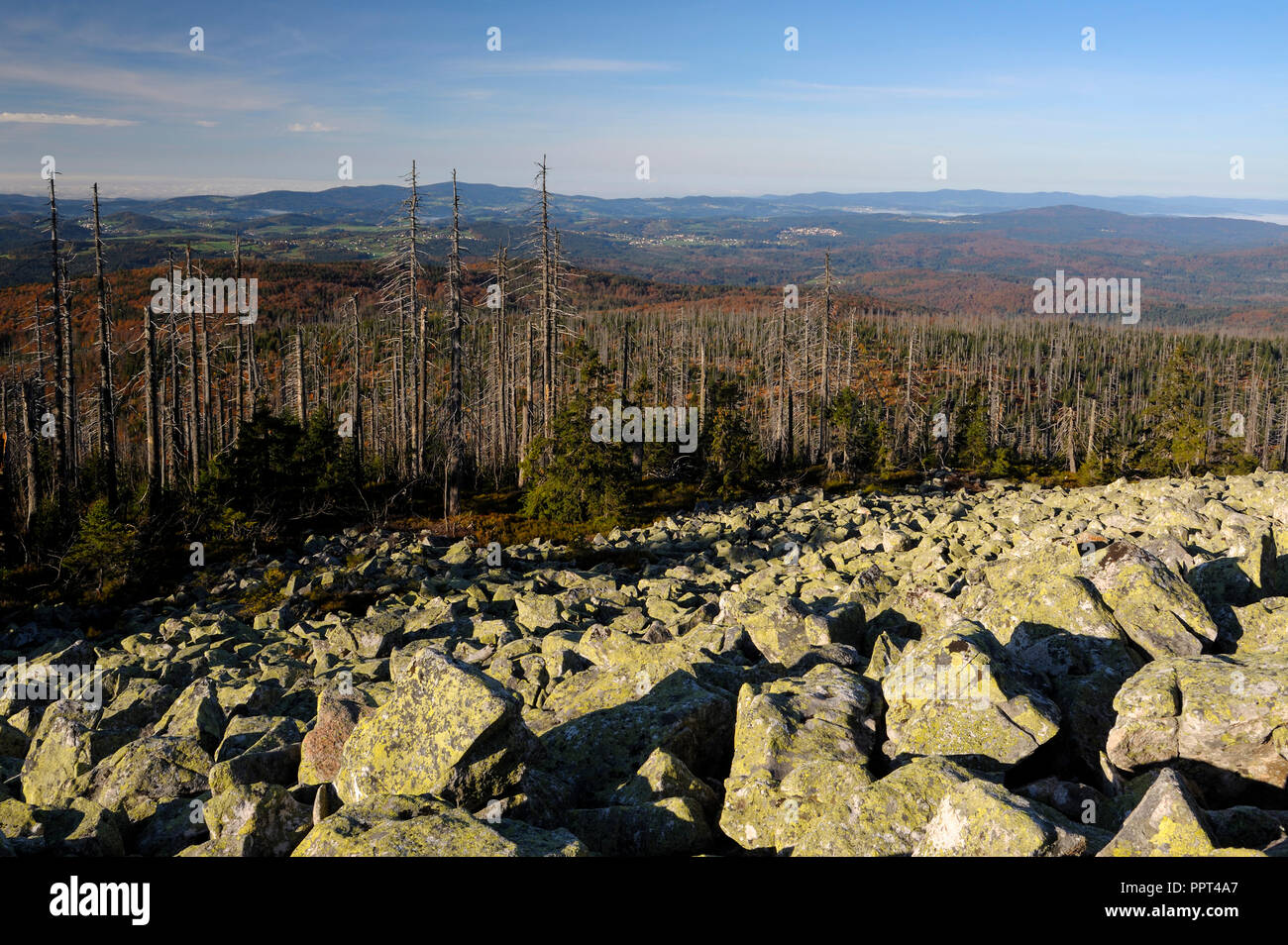 Summit of the Lusen, october, Lusen, Bavarian Forest National Park, Germany Stock Photo