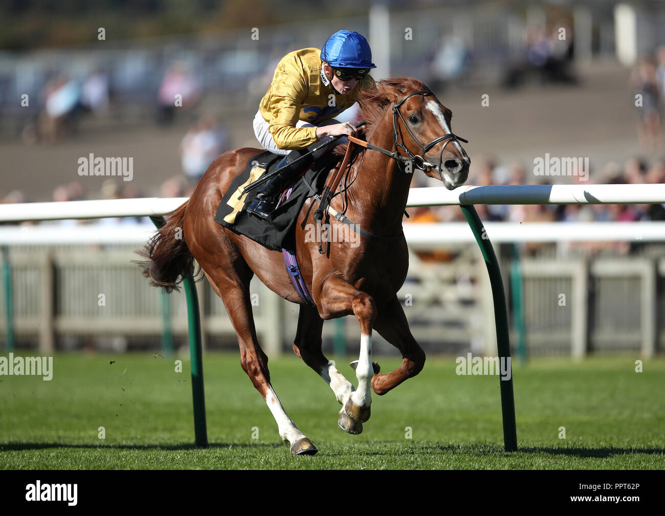 Even Keel ridden by Rob Hornby wins the Bonhams Nursery Handicap Stakes during day one of the Cambridgeshire Meeting at Newmarket Racecourse. Stock Photo