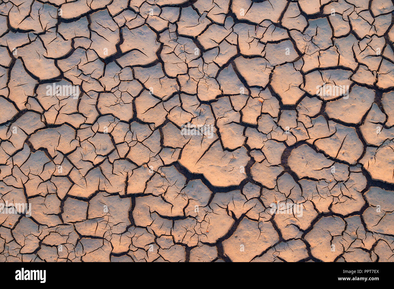 Arid and dry cracked land. Global Warming effect Stock Photo - Alamy