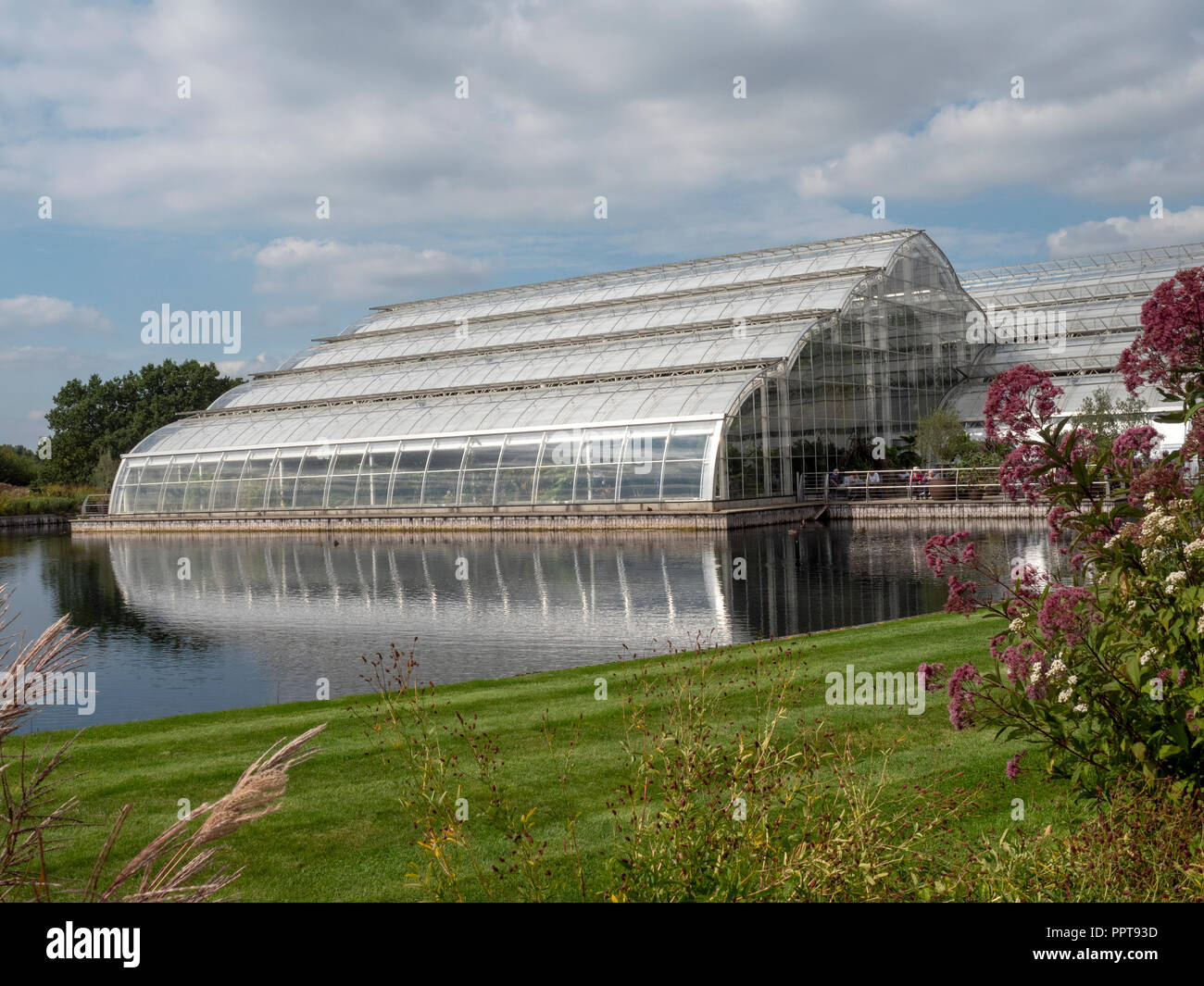 The new glasshouse at The Royal Horticultural Society gardens at Wisley, Surrey, England, UK Stock Photo