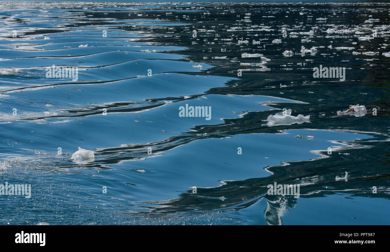 Bits of ice from a nearby glacier float on a mirror like watery surface. Stock Photo