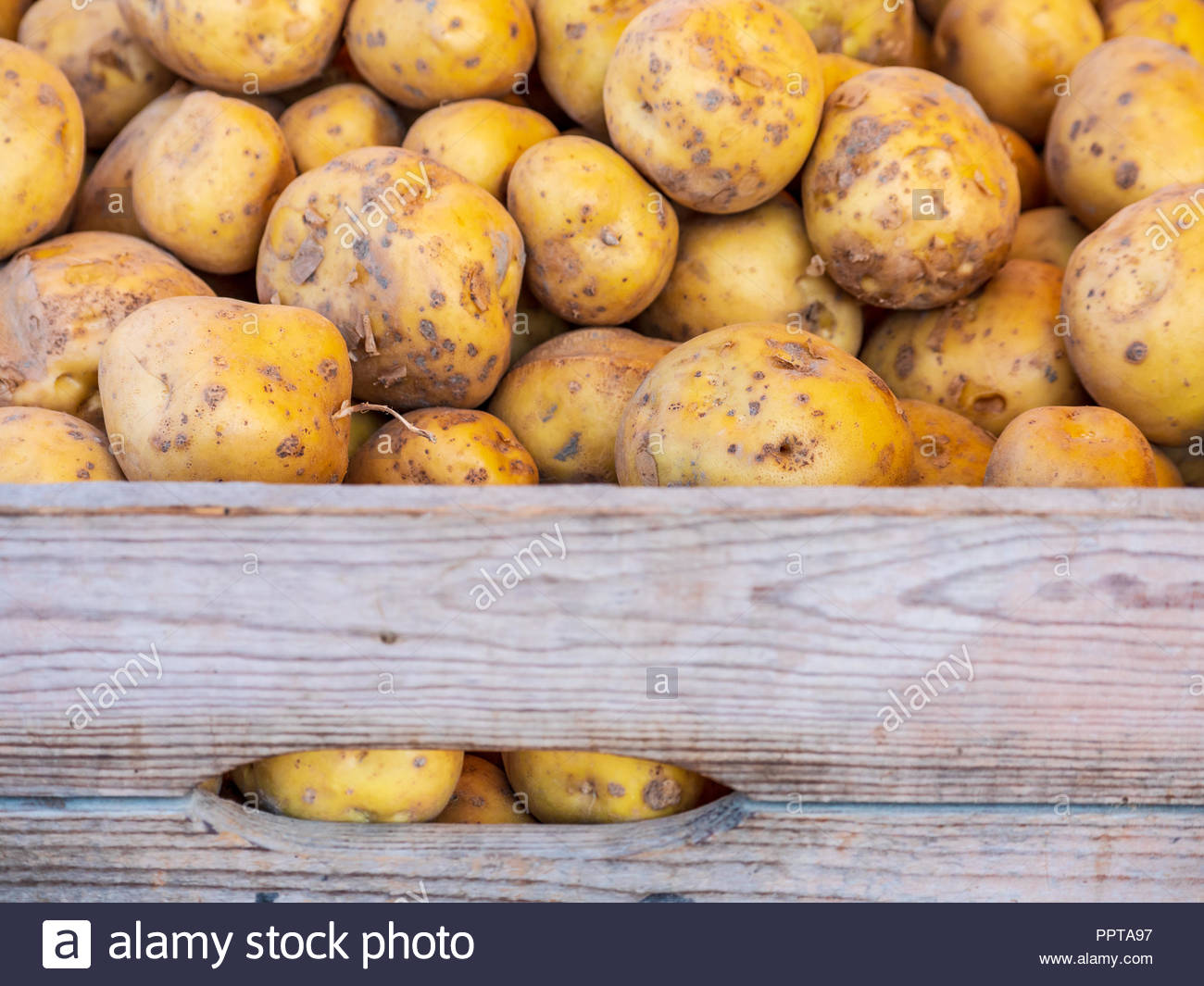 Download Potato Crate High Resolution Stock Photography And Images Alamy Yellowimages Mockups
