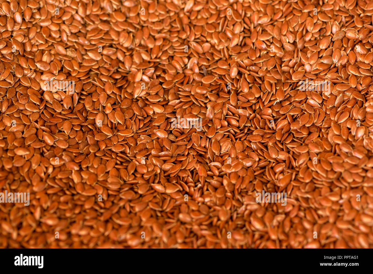 Mesmerizing Where Can I Purchase Flaxseed Wallpaper Concept Mesmerizing Where Can I Purchase Flaxseed Wallpaper Concept