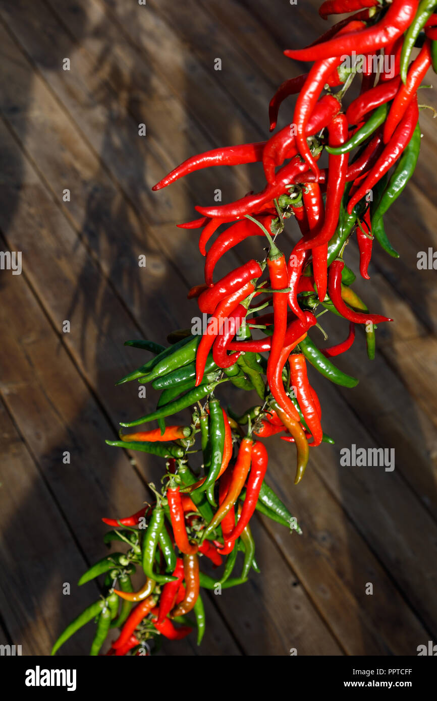 Red hot chili pepper eating hi-res stock photography and images - Alamy