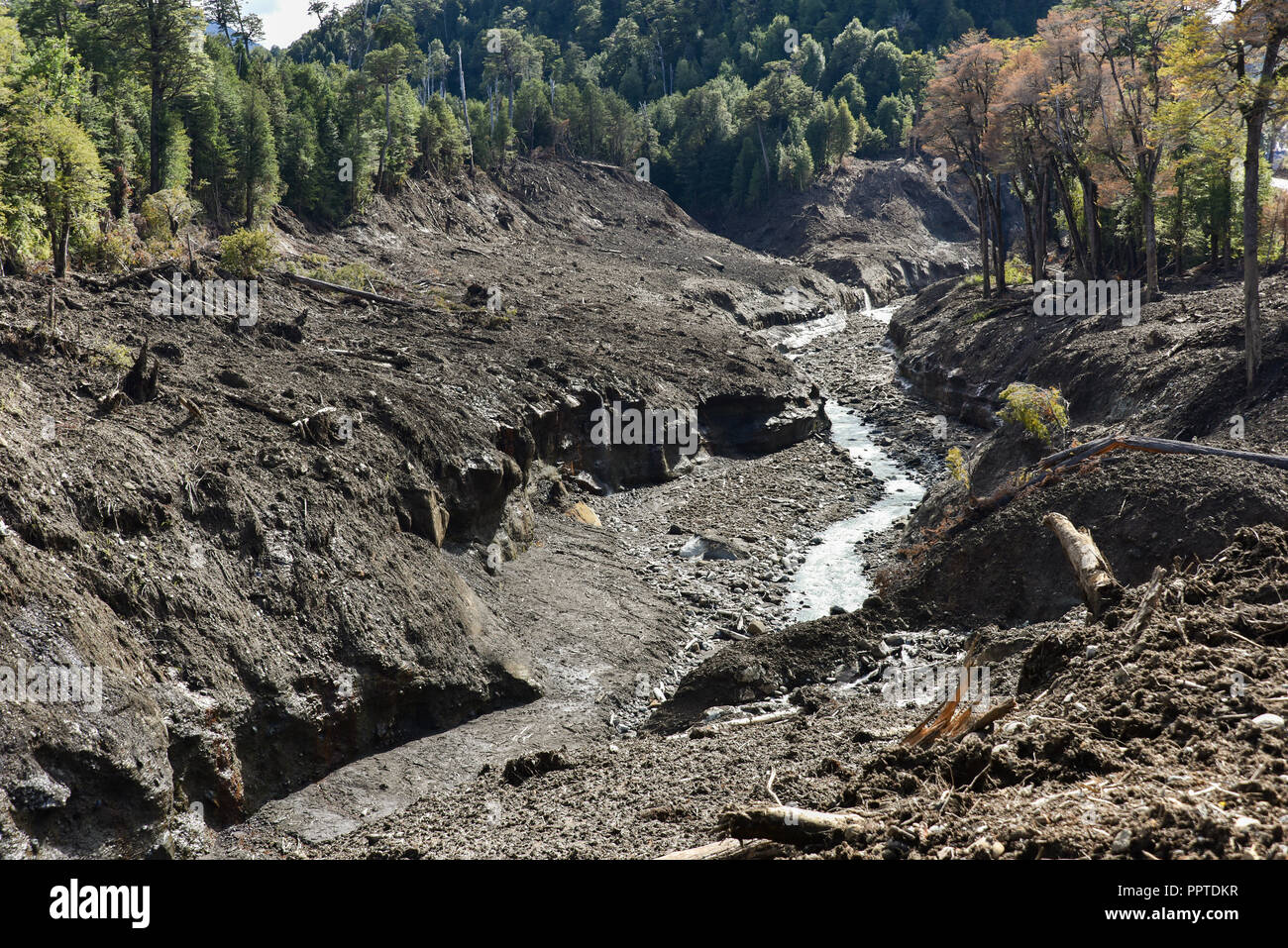 Destroyed forest by a landslide in Villa Santa Lucía, at Chaiten, Rio Burritos, Carretera Austral, Patagonia, Chile Stock Photo