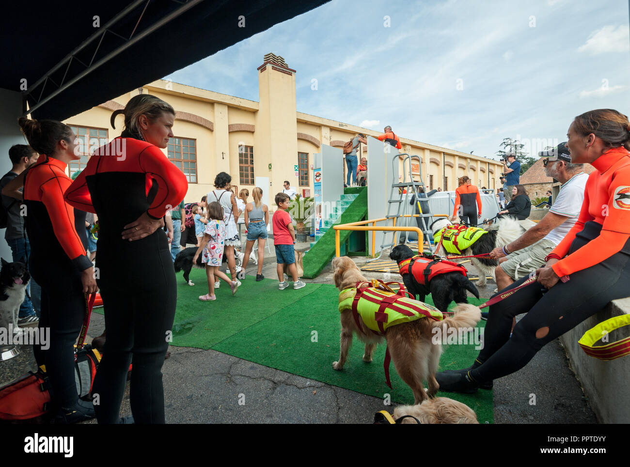 Florence, Italy - 2018, September 22: Dog trainers teach the dog to swim, at “Follow Your Pet” 2018 expo. Stock Photo