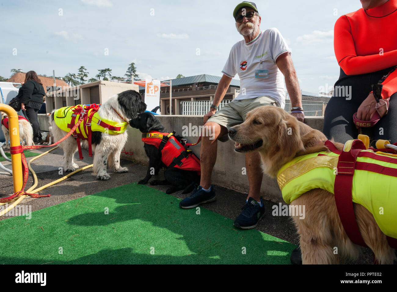Florence, Italy - 2018, September 22: Dog trainers and dogs with harness, at “Follow Your Pet” 2018 expo. Stock Photo