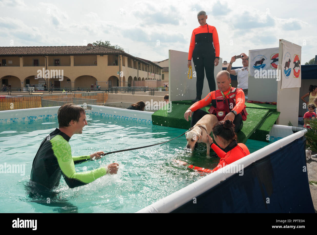 Florence, Italy - 2018, September 22: Dog trainers at the swimming pool, teaching the dog to swim, at “Follow Your Pet” 2018 expo. Stock Photo