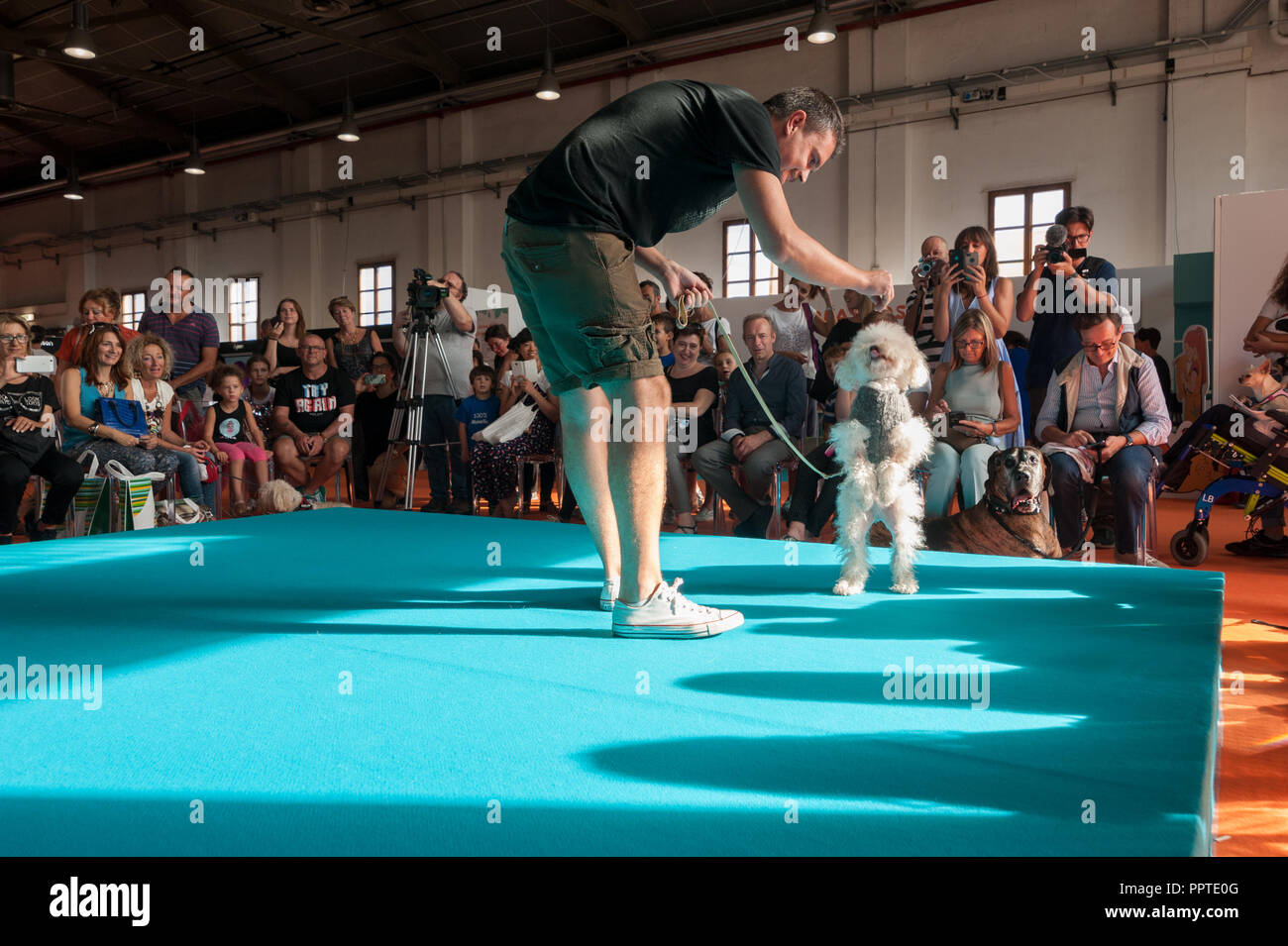 Florence, Italy - 2018, September 22: Pet’s runway show. Luxury haute couture for dogs on the catwalk, at “Follow Your Pet” 2018 expo. Stock Photo