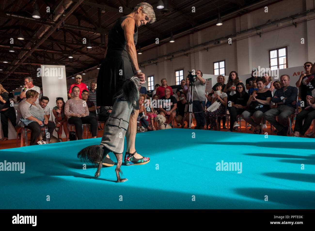 Florence, Italy - 2018, September 22: Pet’s runway show. Luxury haute couture for dogs on the catwalk, at “Follow Your Pet” 2018 expo. Stock Photo