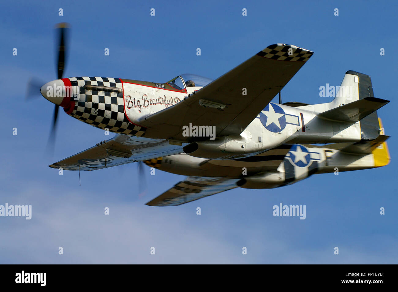 Pair of North American P-51 Mustang Second World War fighter planes flying in blue sky. World War Two US Army Air Force plane duo. Mustangs. P-51s Stock Photo