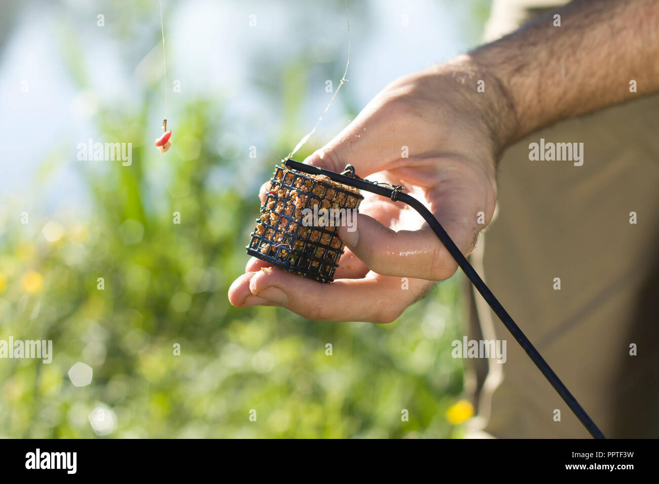 An angler's hand holds a groundbait box with bait and a leader with a hook with larvae of fly Stock Photo