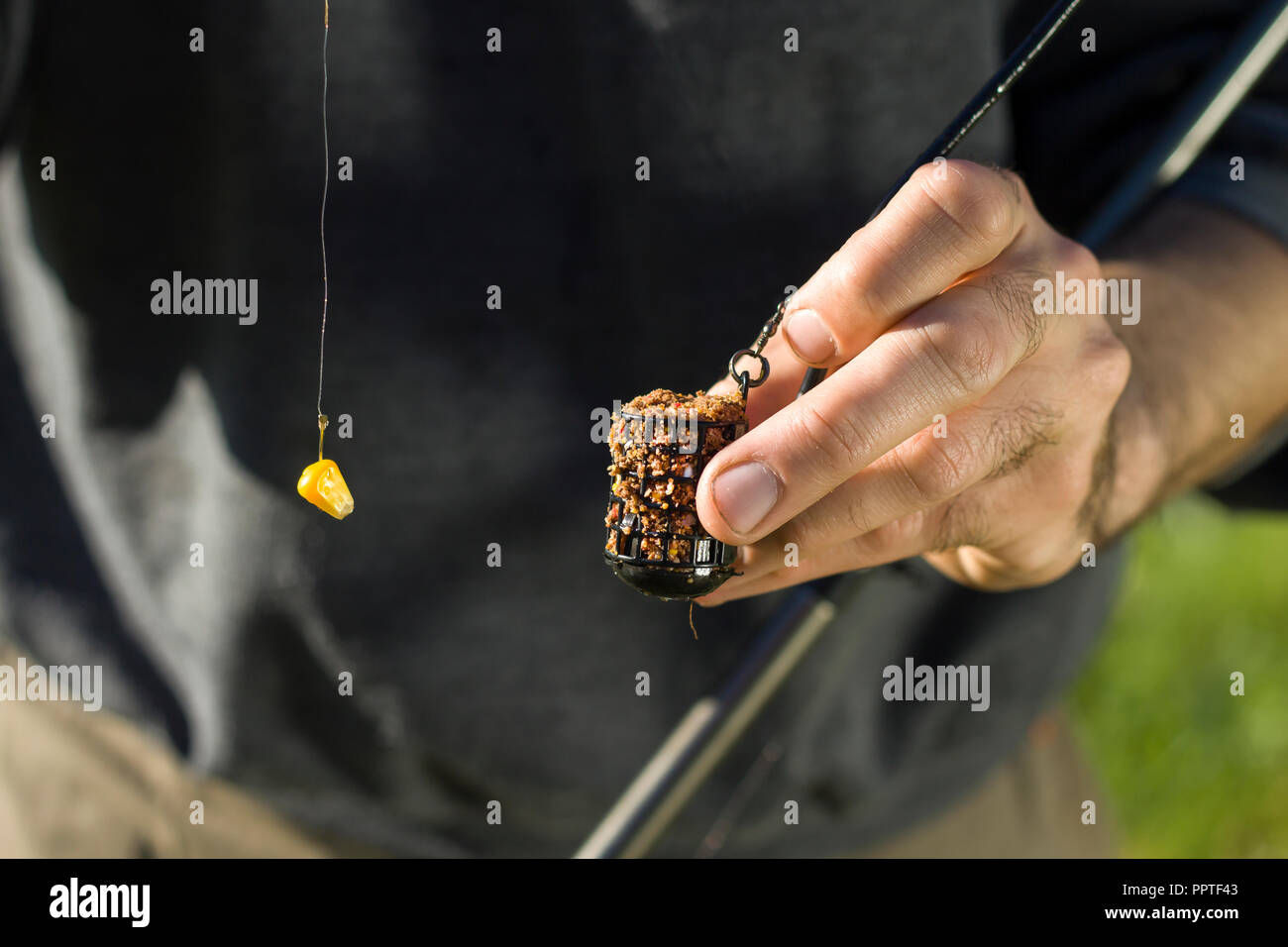 An angler's hand holds a basket of bait and angler’s leader with a hook with a grain of corn. Stock Photo