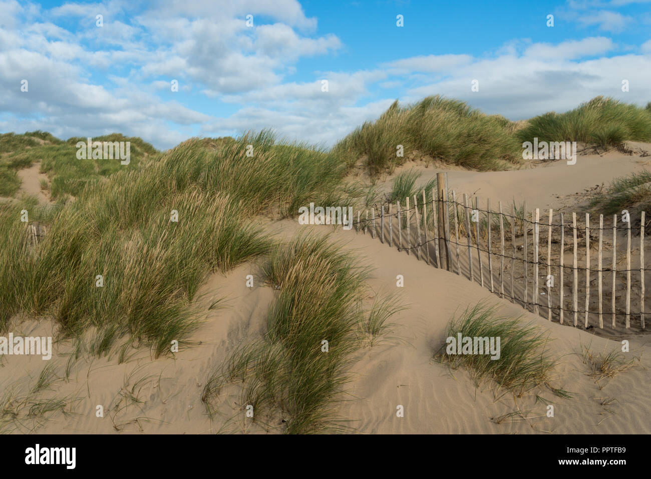 The sandy beach at Formby with sand dunes and a wooden fence on a sunny September afternoon in autumn, Merseyside, England, UK. Stock Photo