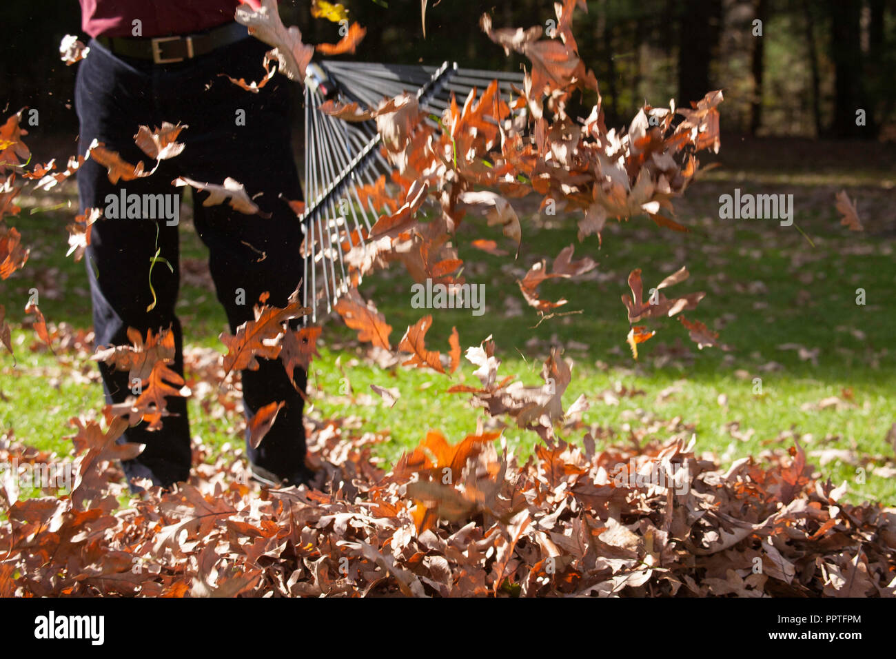 New england fall leaves hi-res stock photography and images - Alamy