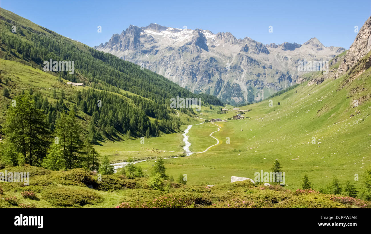 View of the Val Fex (Graubunden, Switzerland) in the summer. It is a southern side valley from the Upper engadin in Switzerland Stock Photo