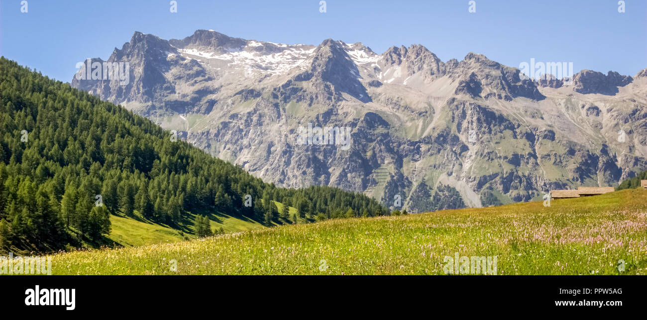 View of the Val Fex (Graubunden, Switzerland) in the summer. It is a southern side valley from the Upper engadin in Switzerland Stock Photo