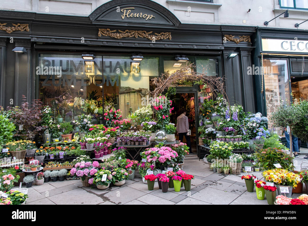 Street Scene In Downtown Vienna High Resolution Stock Photography and