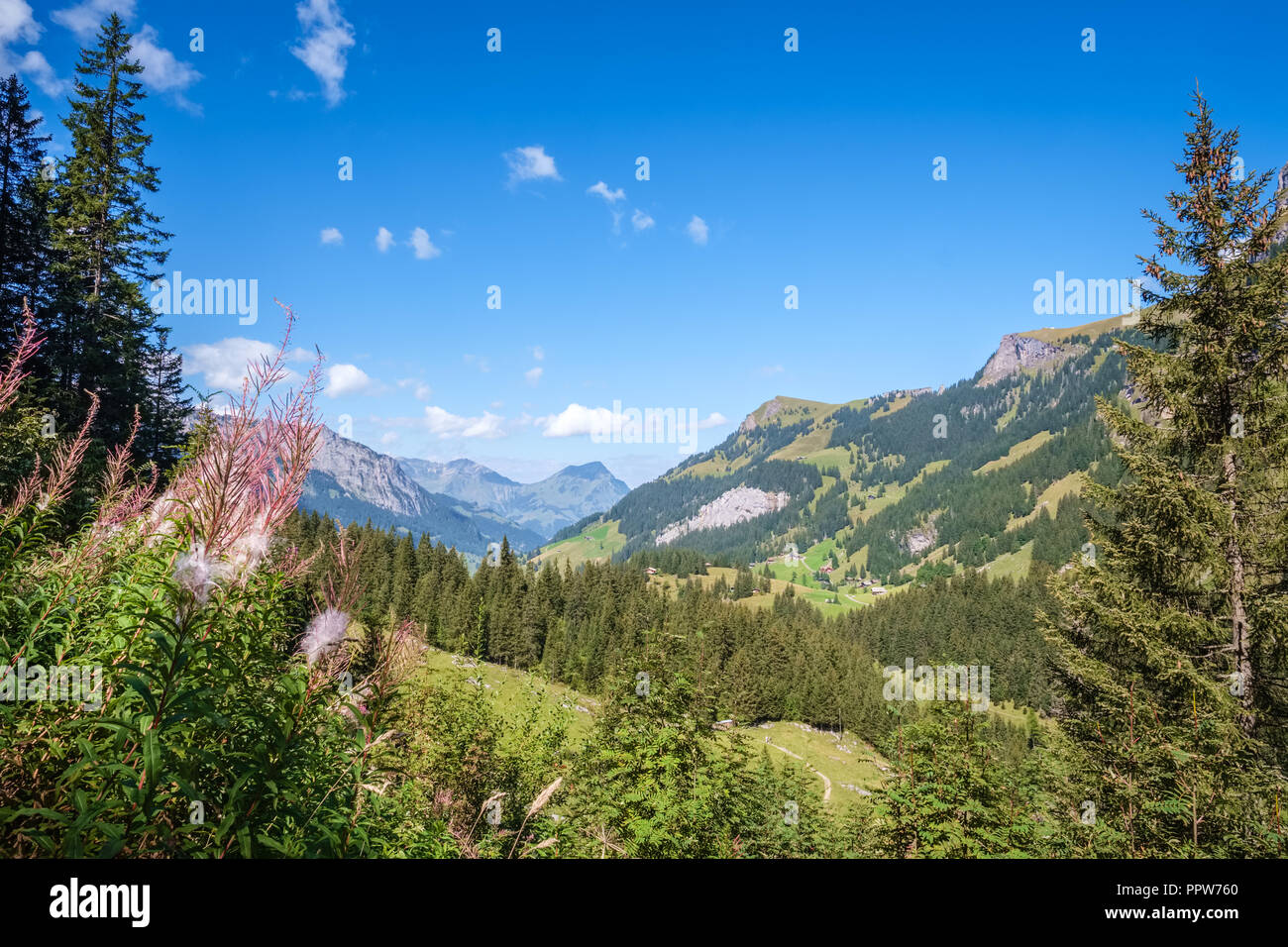 Spectacular views in Kiental while walkink from Griesalp to Obere Bundalp. Kiental is a village and valley in the Bernese Alps (Switzerland) Stock Photo