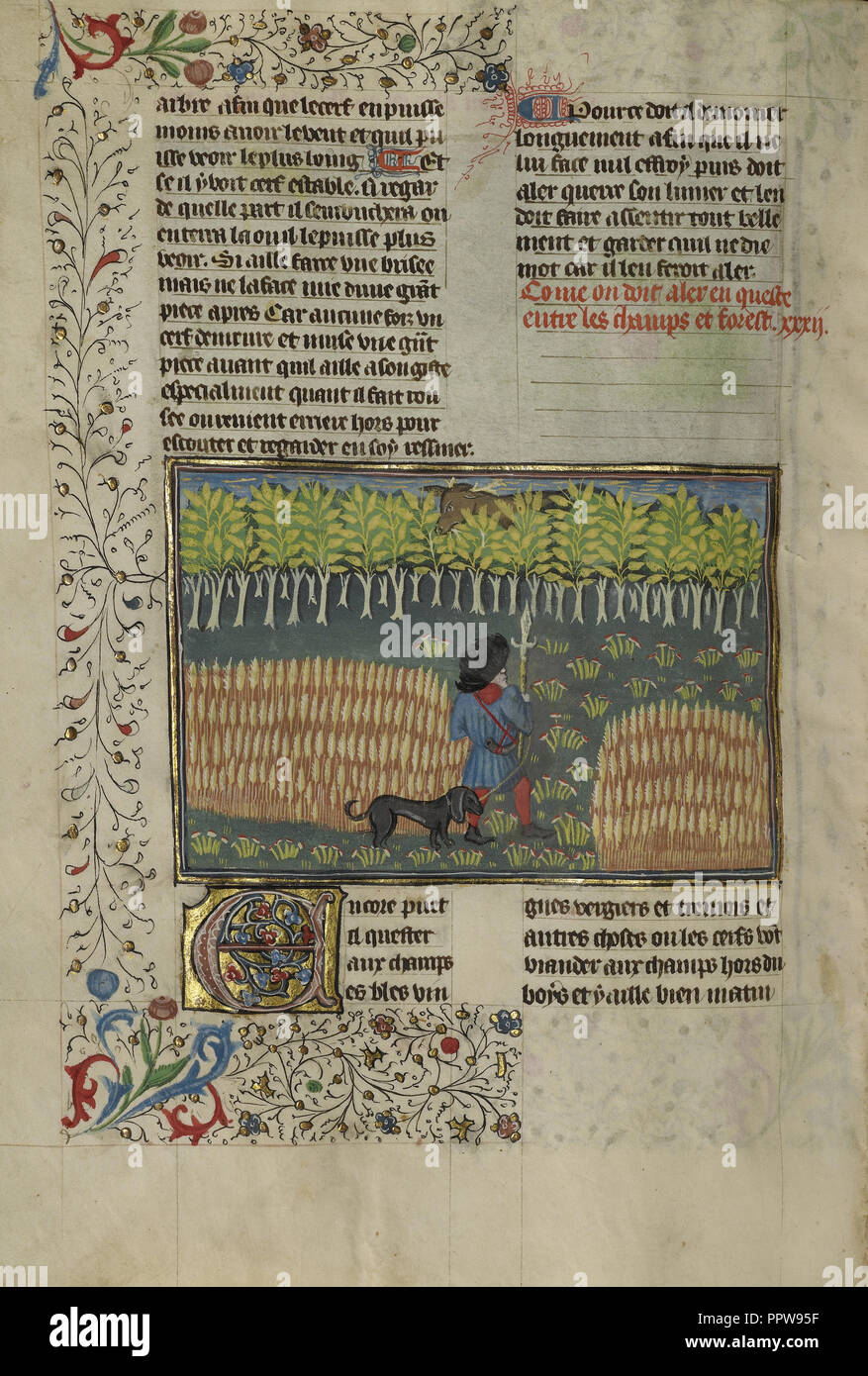 A Hunter and a Dog Tracking between a Field and a Forest; Brittany, France; about 1430 - 1440; Tempera colors, gold paint Stock Photo