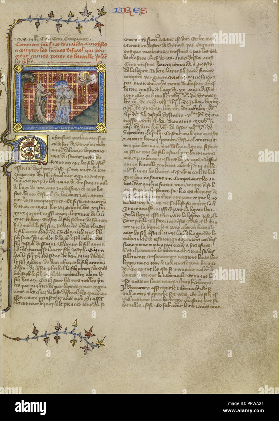 De mandeville hi-res stock photography and images - Page 2 - Alamy