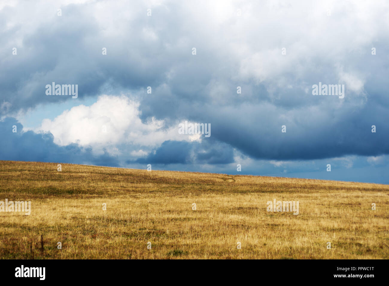Dark stormy clouds over field Stock Photo