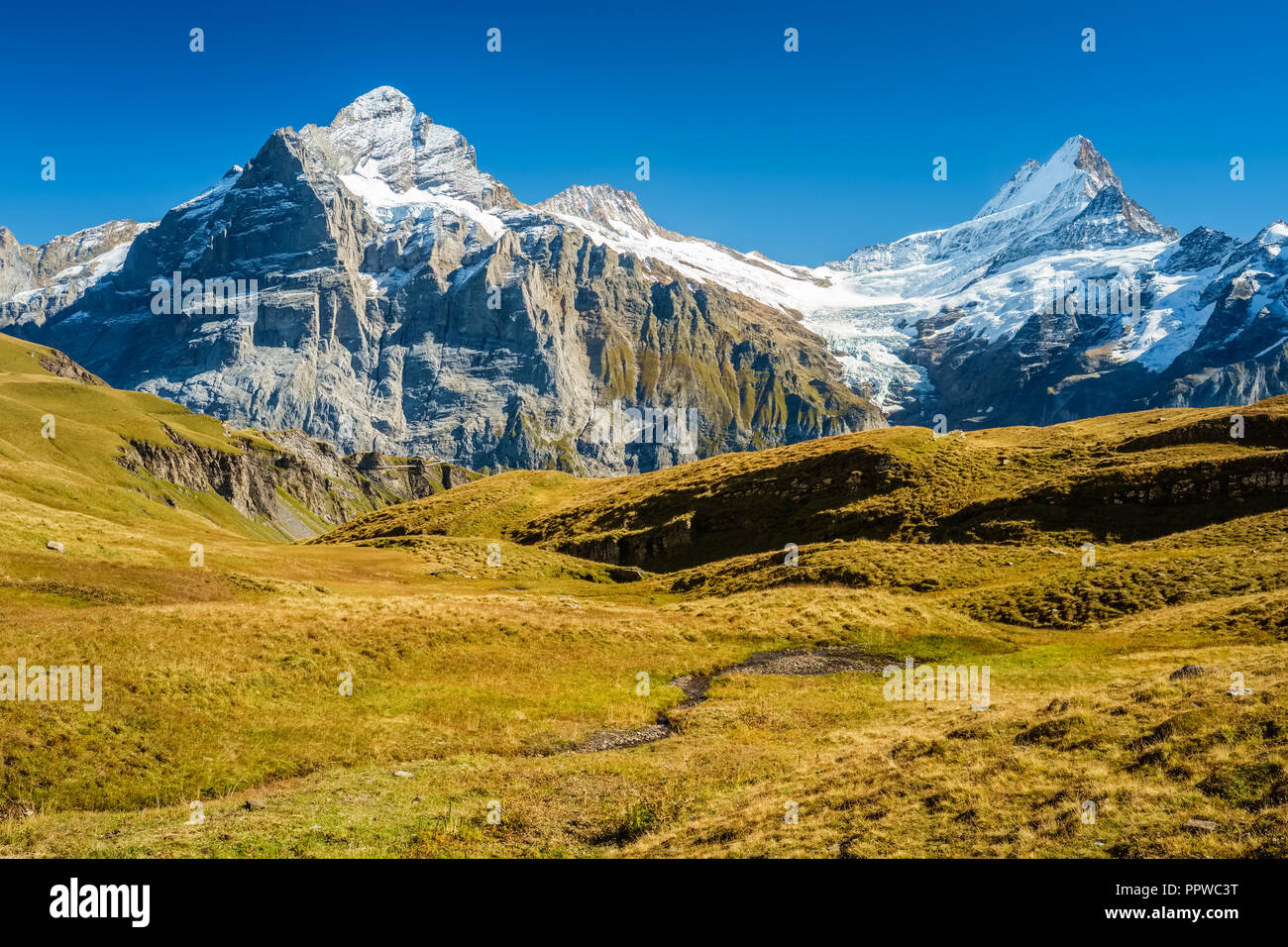 Gorgeous landscapes during the famous hiking trail from First to Grindelwald (Bernese Alps, Switzerland). Stock Photo