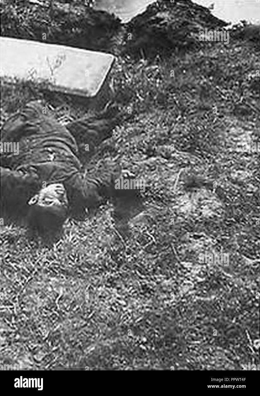 Boy killed in Nanking massacre. Stock Photo