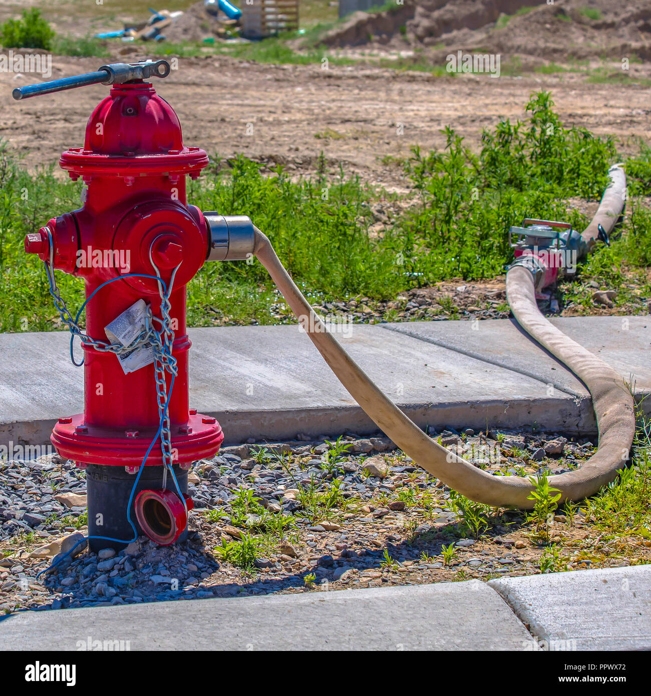 Red fire hydrant with hose connected to outlet Stock Photo Alamy