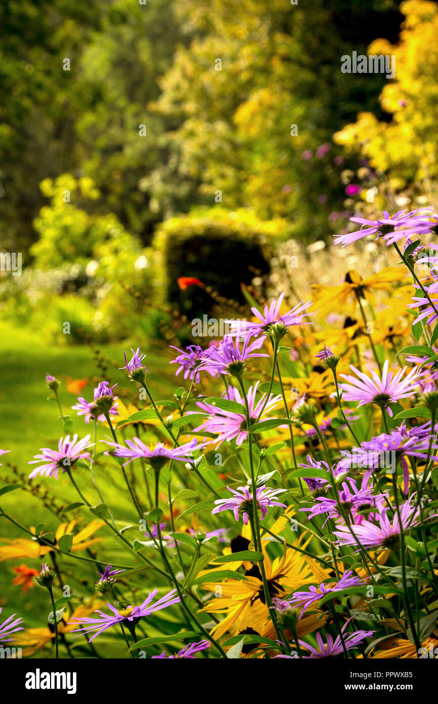 Vibrant flower gardens hi-res stock photography and images - Alamy