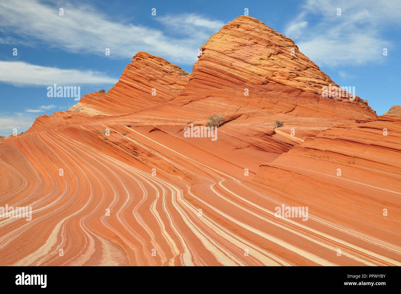 F&O - The Wave, Coyote Buttes North, Vermilion