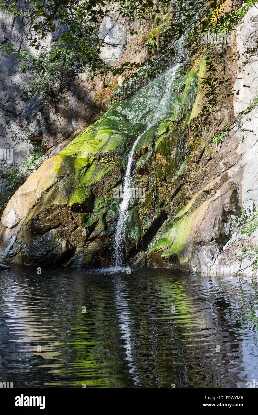 Santa Anita Waterfall in Chantry Flats hike in National Angeles Forest near Pasadena, Los Angeles, California Stock Photo