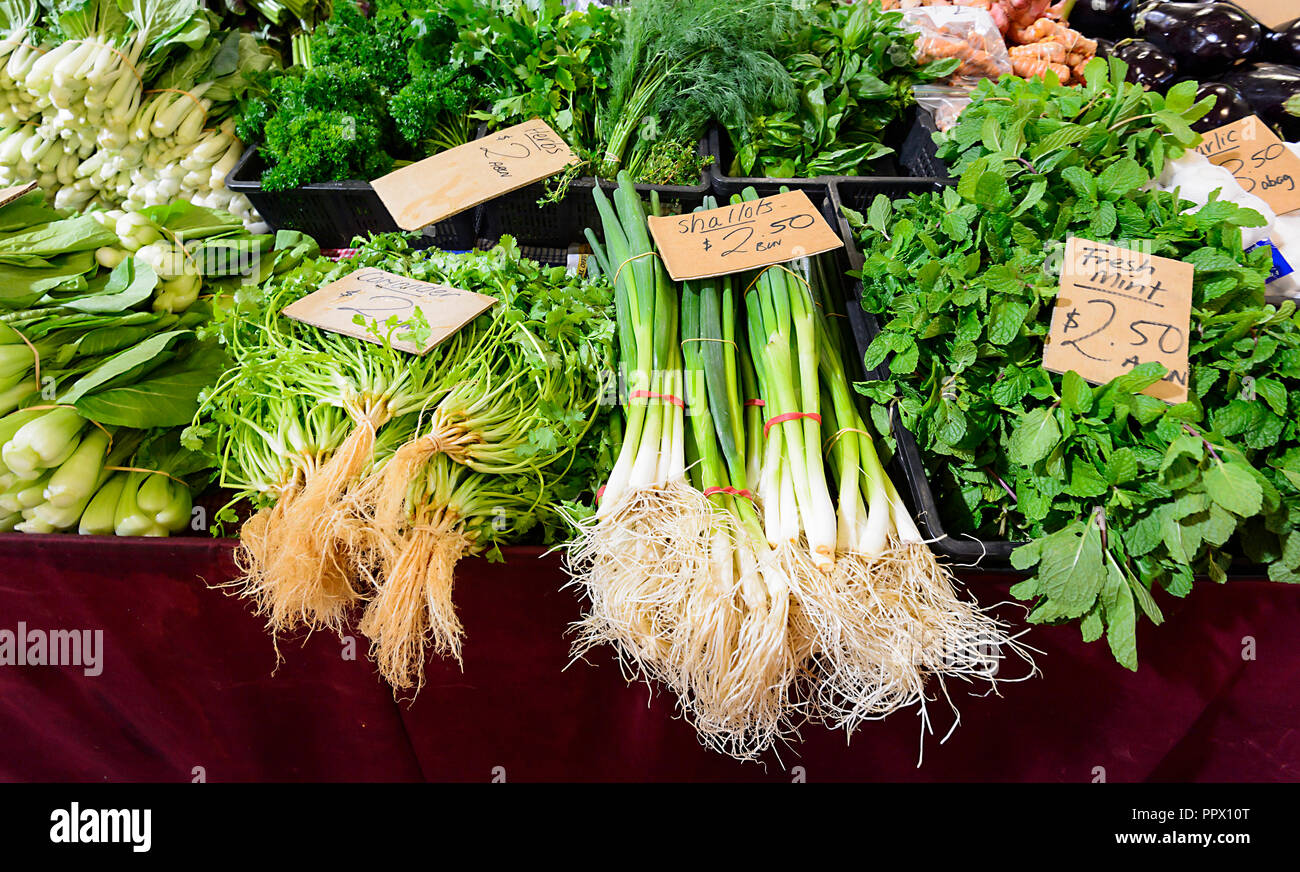 Display of fresh green vegetables and herbs at the popular Rusty's