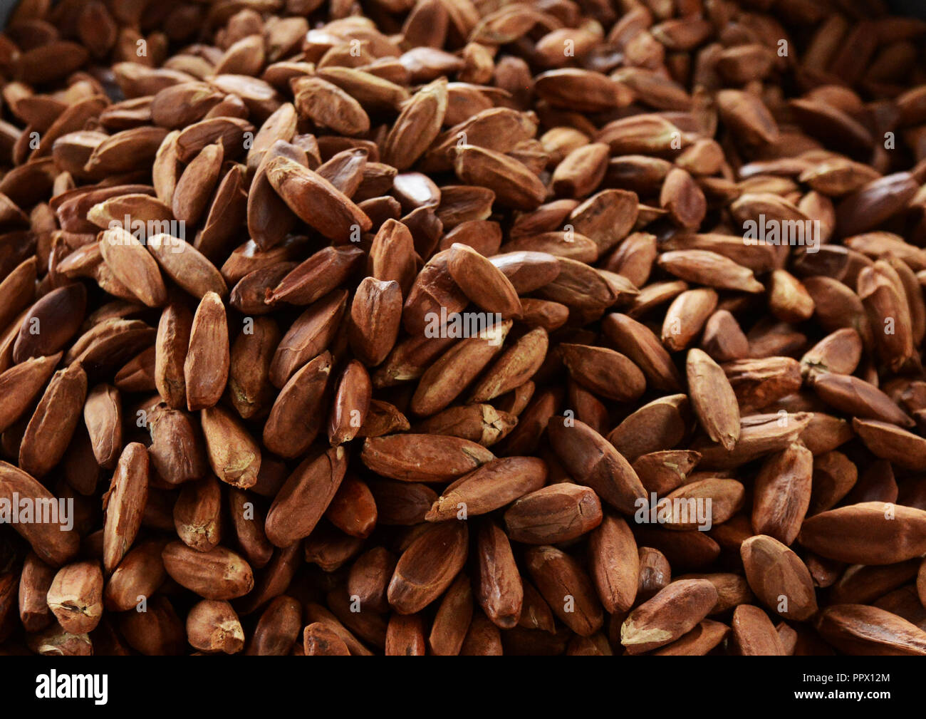 A pile of Pili nuts Stock Photo Alamy