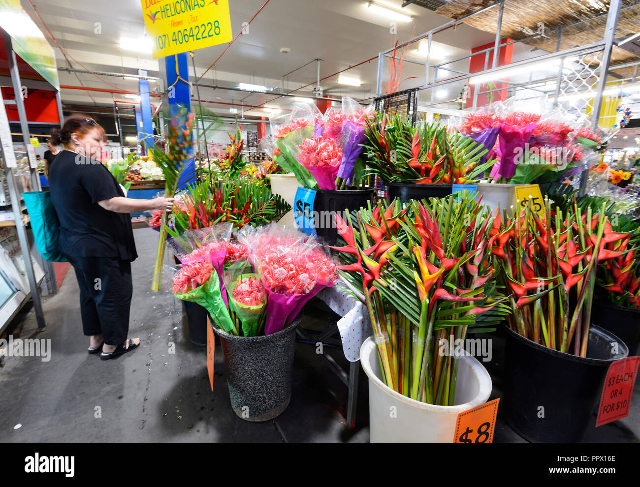 Stall of exotic flowers at the popular Rusty's Market on Sheridan