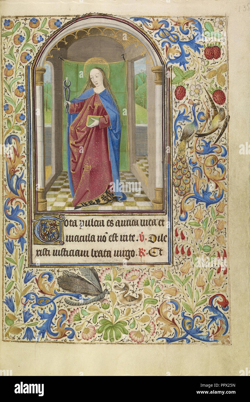 Saint Apollonia with a Book and Tongs; Master of Jacques of Luxembourg,  French, active about 1460 - 1470, Flanders, or Stock Photo - Alamy